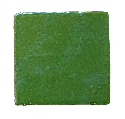 Carreau émaillé Vert Printanier