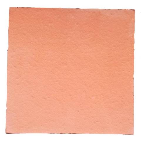 Carreau de terre cuite Tradition 25x25 Orange Nuanc