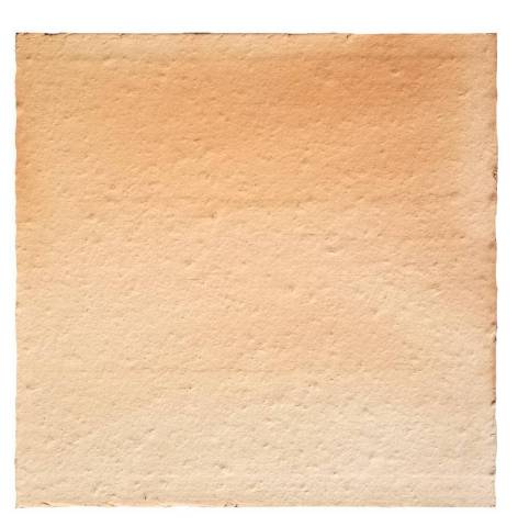Carreau de terre cuite Tradition 25x25 Provence Flamm